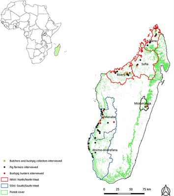 Bushpig (Potamochoerus larvatus) Hunting in Rural Areas of Madagascar and Its Health and Socioeconomic Implications